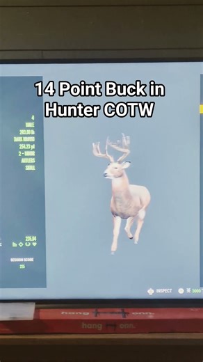 Nice Buck #cotw #cotwclips #hunting #thehunter #buck #14pointbuck #fypシ #viral #trending #awesome