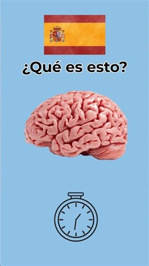 Learn to say heart, lungs, etc in Spanish