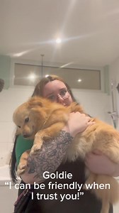 21K views · 299 reactions | “Reasons to adopt us …” 梁 A few of our...