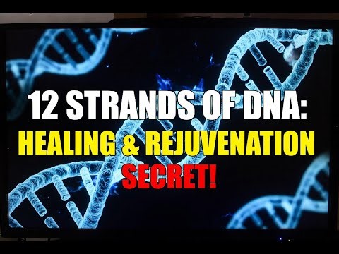 How 12 Strands Can Change Your Life