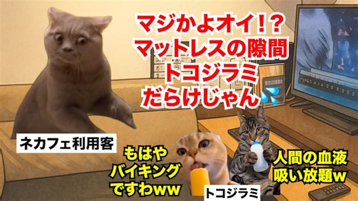 【ネカフェ】ネットカフェ業界の客離れが止まらない！？3074店舗→747店舗まで大量閉店した理由 #猫マニ #猫ミーム