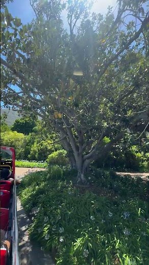 The best way to see Cape Town in one day #capetown #travel #tourism
