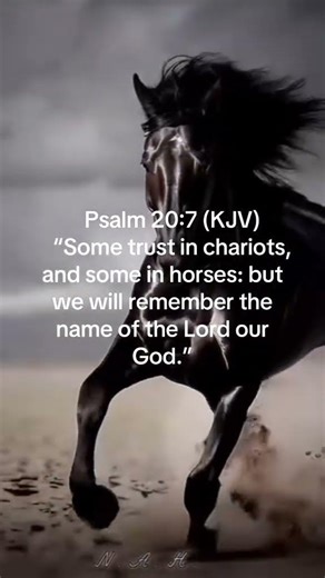#jesussaves psalm 20 : 7 KJV