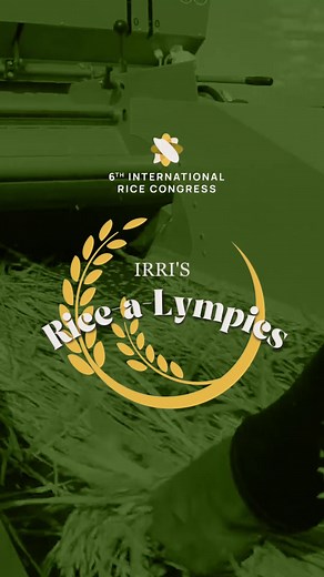 Rice-A-Lympics: Everything You Need to Know About Rice | Join us at IRC 2023!