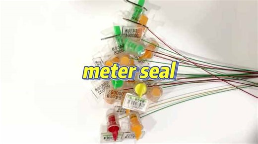 Tamper-evident Seal with Electricity Meter Identification Label, Suitable for Electric Rotor Torsion-type Meters