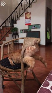 275K views · 1.7K reactions | This is how well my diet is going... | Newsflare | Facebook