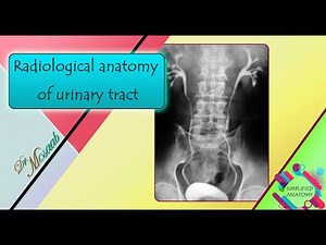 Radiological anatomy of urinary tract (Plain X-ray & intravenous urography )