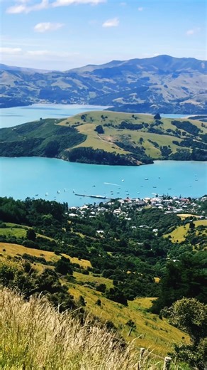 Akaroa NZ 🇳🇿 | A Beautiful French Village in New Zealand #mountains #nature #travel