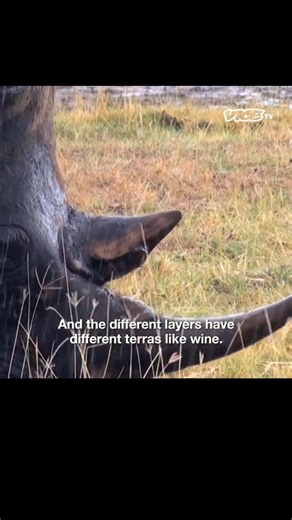 “Isn’t water all the same?” 2 Chainz and Diplo test some bottled water that costs a staggering $100,000. | VICE TV