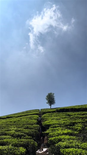 Late trekking 🫠#WeekendMood #Wanderlust #trekkinglife