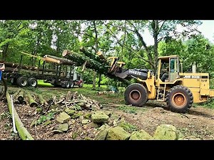 loading out Residential Trees!!!