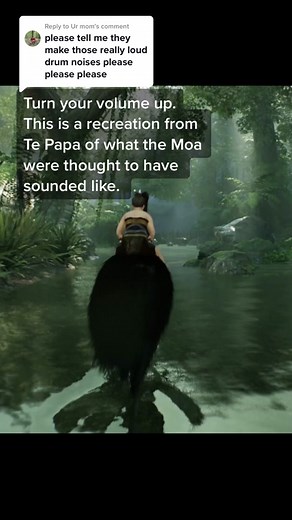 Moa Bird Sounds: Game Footage of Maia and Moa