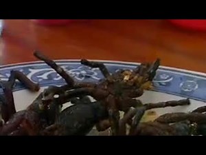 Eating Spiders in Cambodia | Holidays in the Danger Zone: America Was Here | BBC Studios
