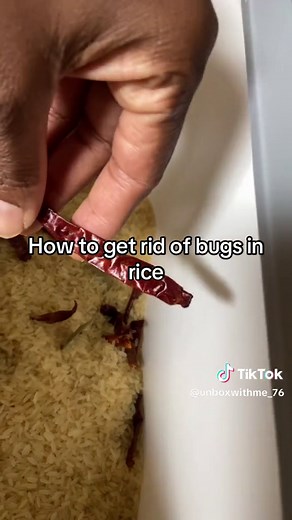 This is how to get rid of bugs in rice. Or weevils. #cookinghack #fyp #rice