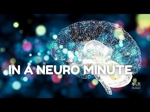 S5 E1: How do microglia (the brain's immune cells) support learning & memory?