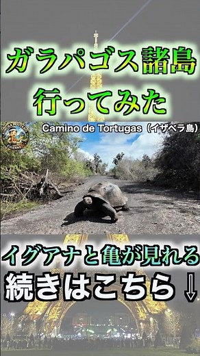 [World Tour Clippings] A must-visit before you die! A grand adventure in the Galapagos Islands!! ...