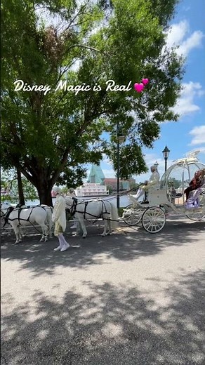 Cinderella’s Carriage | Disney Magic at Its Finest