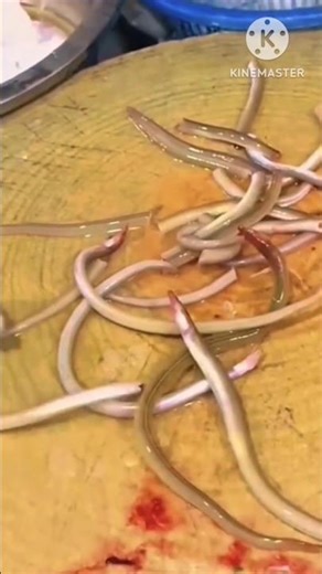 Eell Fish Cutting Process l 😍 l #shorts #viralshorts #fishcutting_skills #eel