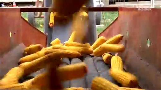 How Brazil Dominates Sugar Production Without Burning Fields Part 26 | Business Insider Africa | Facebook