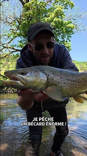 ➡️ La pêche d'une vie pendant la reproduction des vairons 🫣!! #truite #pecheautoc