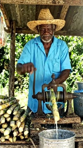 Grandpa extracting juice from sugar cane using the traditional method 🥰😋