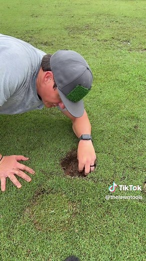 Lawn Renovation: Answering the Most Asked Question