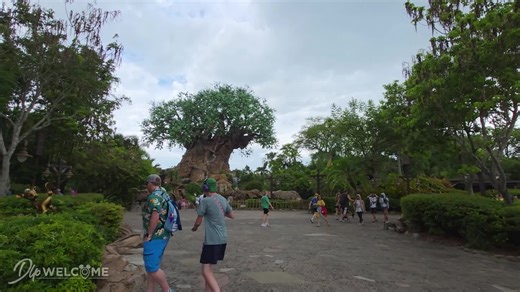 Complete Walkthrough of Disney's Animal Kingdom Full Tour in 4K : https://youtu.be/cvE2wyNeHMw 🐅🦒🐘#WaltDisneyWorld ✨