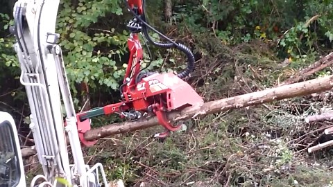 Cool Forest Harvester Delivering Smooth Results with Precision