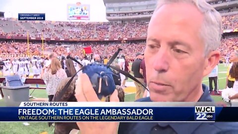 Georgia Southern bald eagle mascot, Freedom, dead at 20