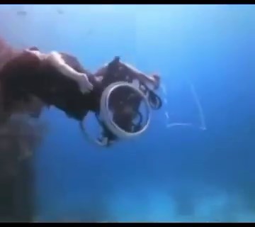 6.6K views · 111 reactions | Woman in wheelchair swimming in the ocean underwater under the sea ♿️ | Poppa Wheelie | Facebook