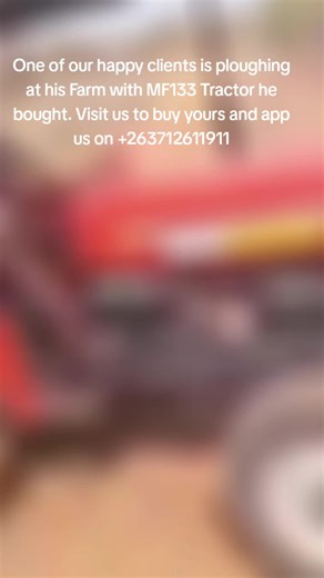 Massey Ferguson Tractors for Sale in Harare
