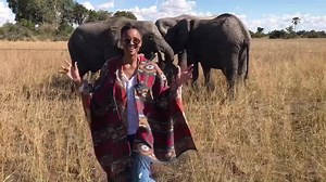 188K views · 7.1K reactions | I could wake up like this every morning. Our new friends.Russell Wilson #Elephants Botswana, #Africa. | Ciara | Facebook