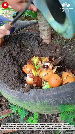 Organic Kitchen Waste Fertilizing: Manual Compost Mixing for Natural Plant Nutrition