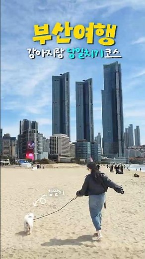 Best 8 Must-Visit Itineraries for a Busan Trip #Busan #DogFriendlyTravel #BusanTrip #PlacesToVisi...