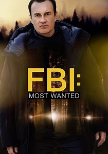 FBI: Most Wanted - streaming tv series online