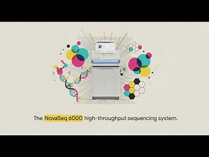 RNA-Seq Pipeline Explained Step-by-Step