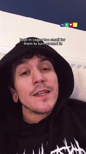 Number of KFC Locations in the USA