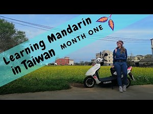 EXPAT LIFE IN TAIWAN: Learning Chinese -- Month One