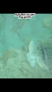 huhulihin mo pba pag ganito kaamo #fbreelsvideo #videos #fishing #highlights #fbreelsfypシ゚viral | Fishing Life tv