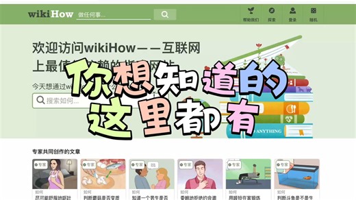 指南网站wikiHow，想学就搜，10W+各类百科指南等你来探索