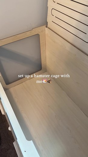 Hamster Cage Setup: Aesthetic Ideas and Tips
