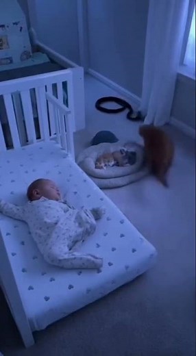 Hero Mom Cat Protects Her Kittens from Danger(AI) #AI #animals #animalstory #shorts