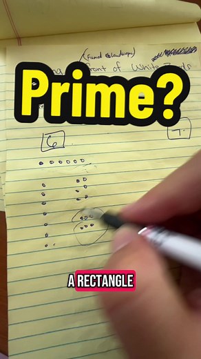 Understanding Prime Numbers in Mathematics