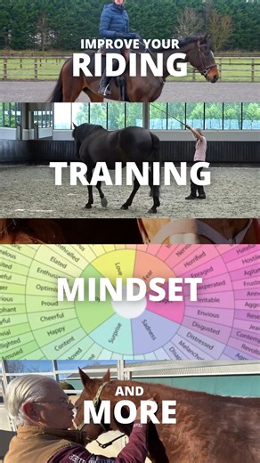 1.3K views | What if your best ride isn’t about control—but about...