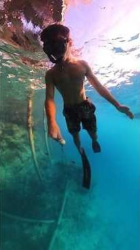 Free diving for Tahitian Black Pearls