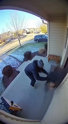 He Grabbed the Package… Then the Dog Exploded the Scene 🐕💥