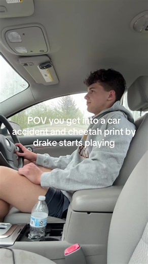 Why’s it so bad #cheetahprint #drake #iceman #funny #carcrash | cheetah print song drake