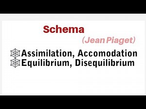 Piaget Concept of Schema, Assimilation, Accomodation, Equilibrium, Disequilibrium