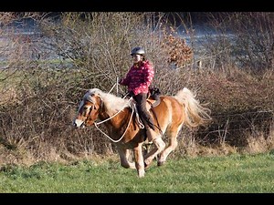Warum Pferde buckeln