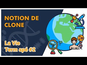 Concept of clone - SVT - LIFE Special term #2 - Mathrix